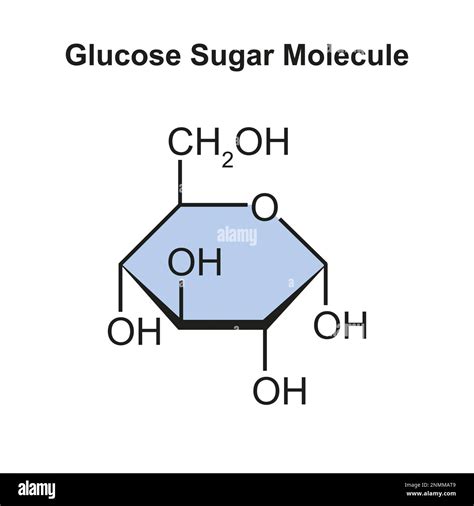 SUGAR, SUGAR .
